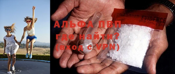 спиды Богородицк