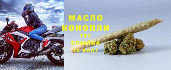 спиды Богородицк