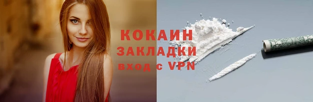 спиды Богородицк