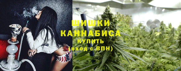 спиды Богородицк