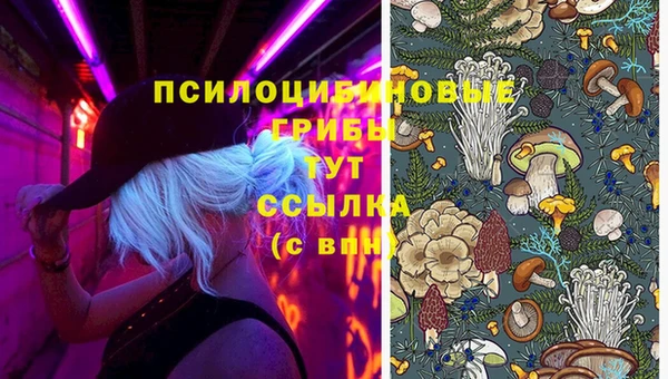 спиды Богородицк