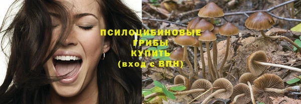 прущие крисы Богородск