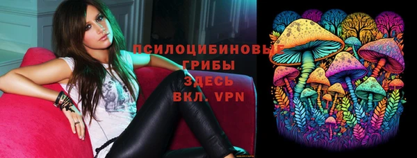 мяу мяу мука Богданович