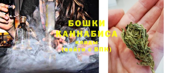спиды Богородицк