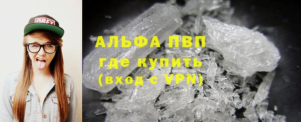 спиды Богородицк